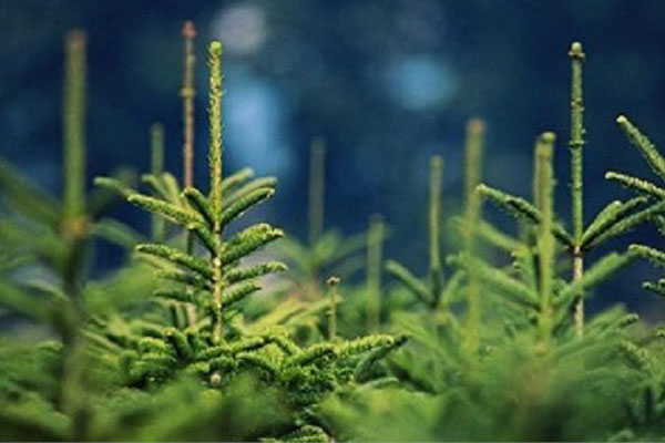 Долгожданная международная специализированная выставка-ярмарка «ЛЕСДРЕВТЕХ» ! Долгожданная международная специализированная выставка-ярмарка «ЛЕСДРЕВТЕХ» !